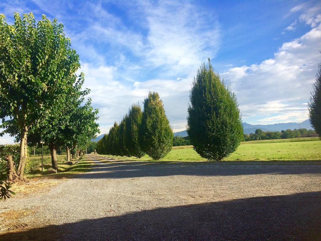 Agriturismo Ca Del Lupo Pallazzolo sullʼOglio エクステリア 写真