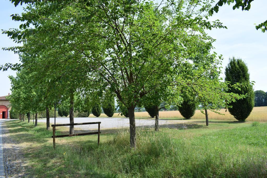 Agriturismo Ca Del Lupo Pallazzolo sullʼOglio エクステリア 写真